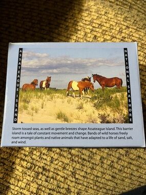 Assateague Island Wild Horses 200 piece puzzle - Beach Scene